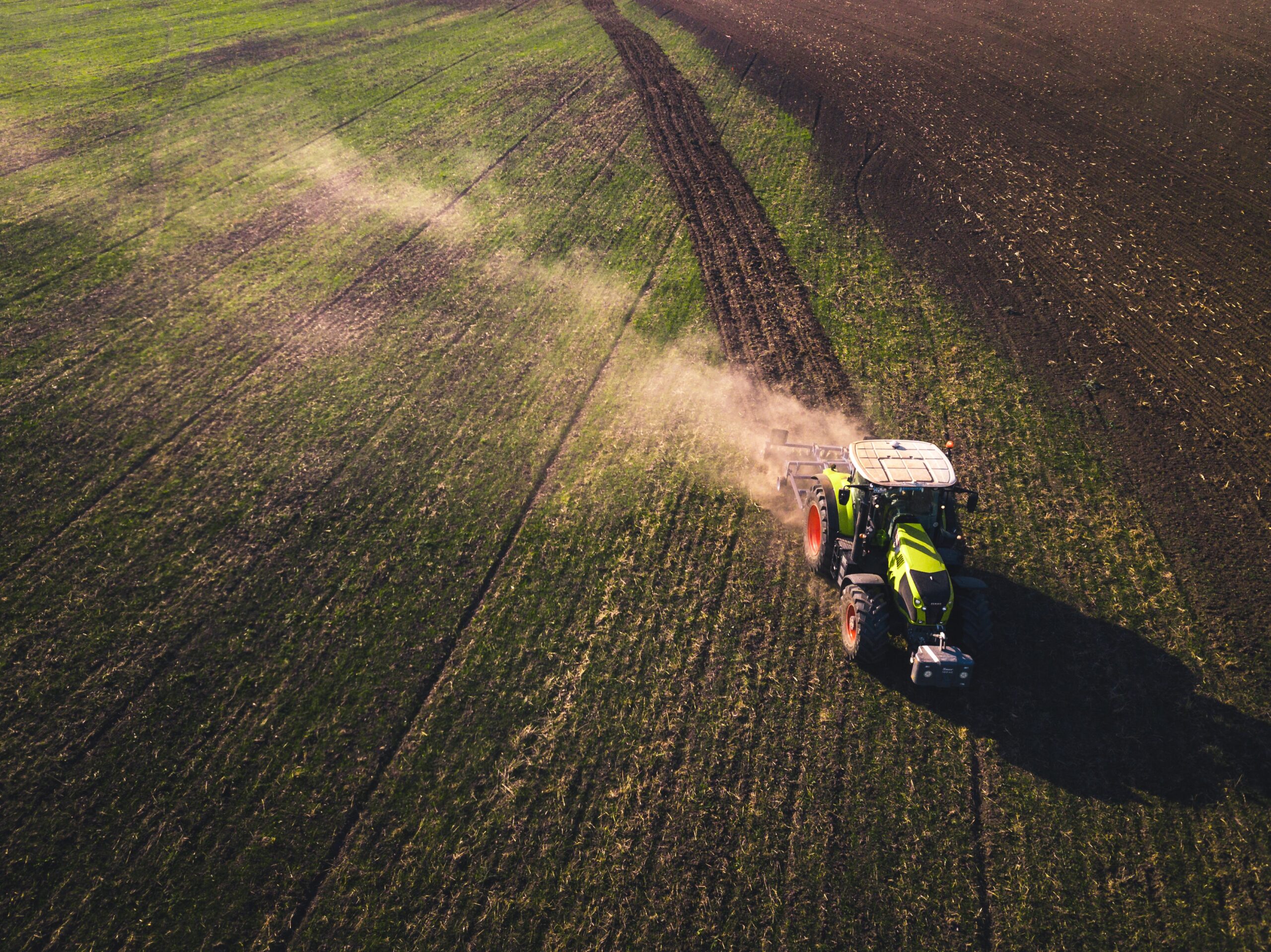 Tractor in a field